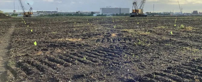 Two crawler cranes positioned on a cleared construction site with marked soil, preparing for dynamic compaction near an urban airport.